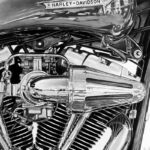 Harley - Original - Image 4