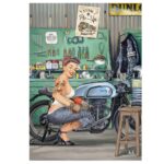 A Norton to customize - Image 3